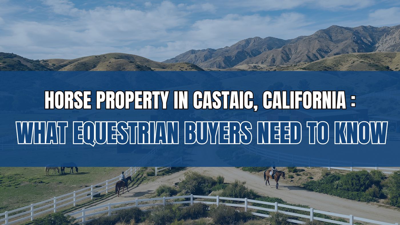 Horse Property in Castaic, California : What Equestrian Buyers Need to Know 